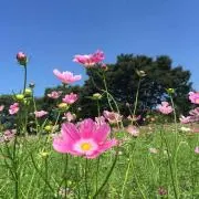らぶ