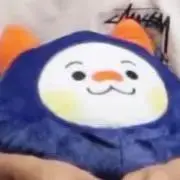 ピピの画像