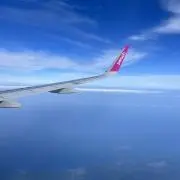 Bの画像