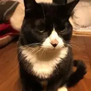 ヒロキ