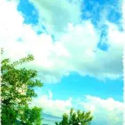 mingoruの画像