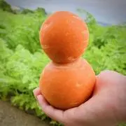 ecoの画像