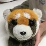 えつこの画像