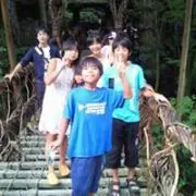 たか
