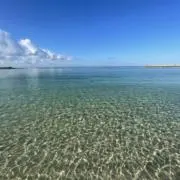 ヒポポタマスの画像