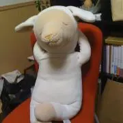 yuuの画像