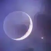 nnの画像