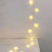 KOKOの画像