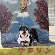 hinataの画像