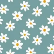 aの画像