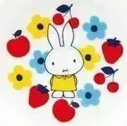 うさの画像