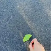 あなん