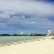 ケチャップの画像