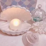 なみの画像