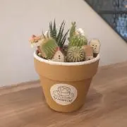 谷の画像