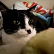 ふぅの画像
