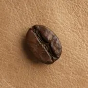 Mr.Coffee beanの画像