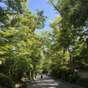 NYの画像