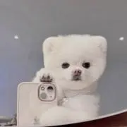 901の画像