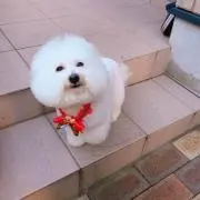 まりちゃん