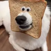 眉間のシワの画像
