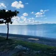 ミントの画像