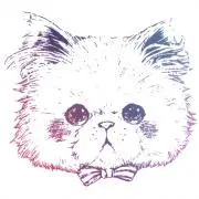くるみの画像