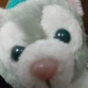 気まぐれな仔猫の画像