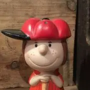pumpkinの画像