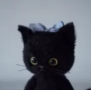 ^ ܸ.  ̫ .‪ ܸ^の画像