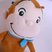 cocoの画像