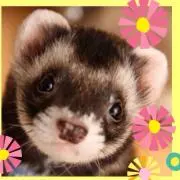 ゆんひ