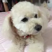 はなmama  断捨離中の画像