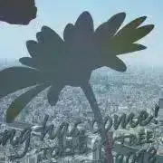 Image of funa♡次回発送5月７日〜