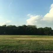 TTの画像