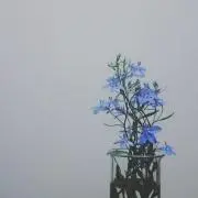 えみりーの画像