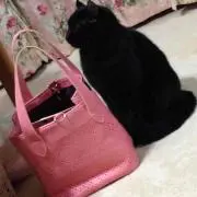 (´・_・`)