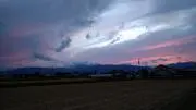 なぎの画像