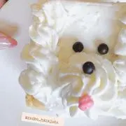 チョコミント