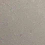 QYの画像