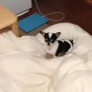 みち
