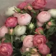 kimieママの画像