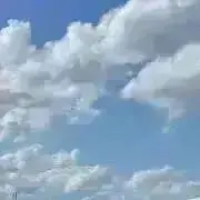 りりの画像