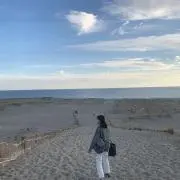 sameiroの画像