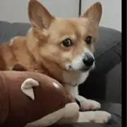 華ちゃん