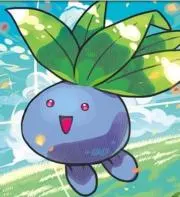 謎草の画像