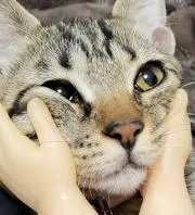 hinawaka