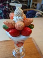 ポトスの画像