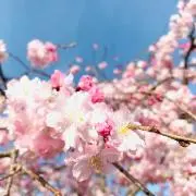 しの　総決算⭐︎全品値下げしました‼︎の画像