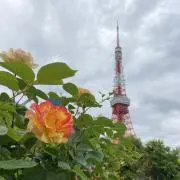 HANA_hanaの画像
